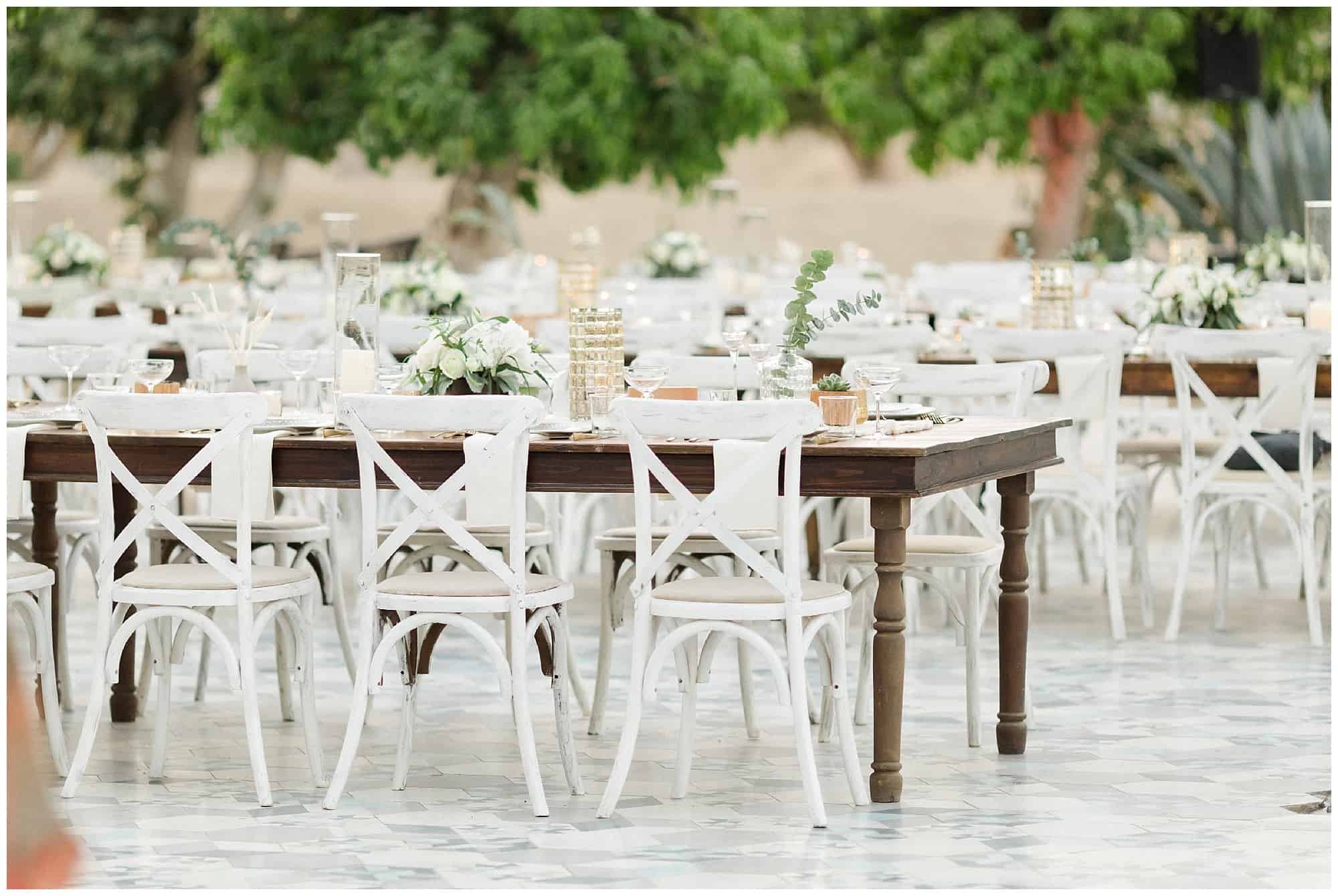 Cabo Farm Wedding acre wedding, sara richardson photography, cabo wedding, cabo wedding photographer, wedding in Cabo